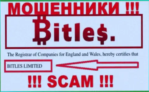 Руководством Битлес Еу является компания - Bitles Limited