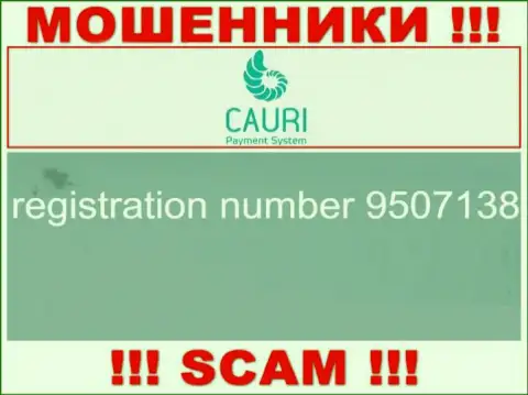 Регистрационный номер, который принадлежит противоправно действующей компании Каури Ком: 9507138