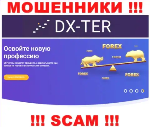 С организацией DX Ter работать весьма рискованно, их сфера деятельности Форекс это замануха