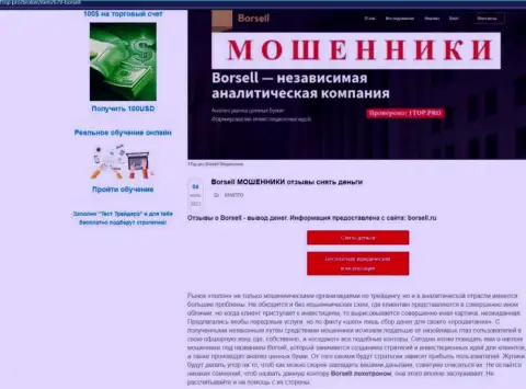 Обзор скам-проекта Borsell Ru - это МОШЕННИКИ !!!