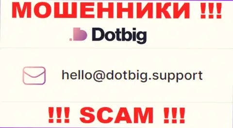 Весьма опасно связываться с Dot Big, даже через их e-mail это коварные махинаторы !!!