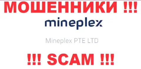 Руководством МайнПлекс является организация - Mineplex PTE LTD