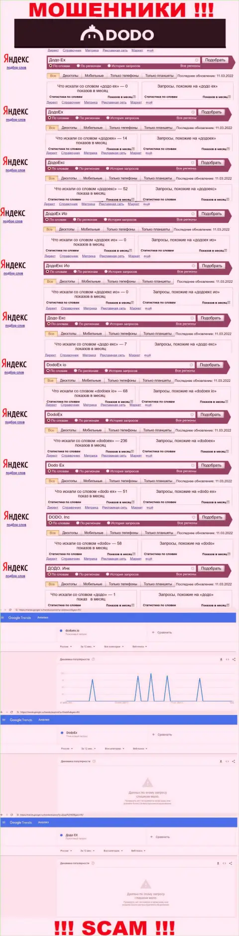 Статистические данные online-запросов по мошенникам DodoEx в поисковиках всемирной интернет сети