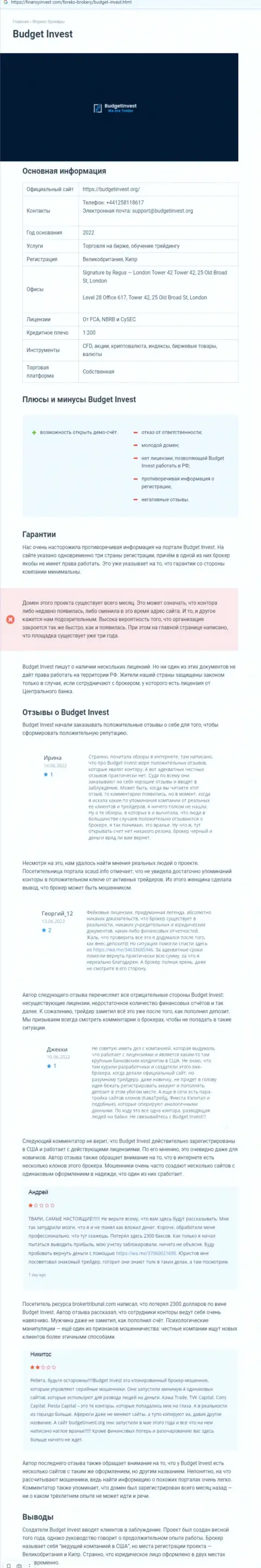 Обзор неправомерных действий scam-проекта Budget Invest - МОШЕННИКИ !!!