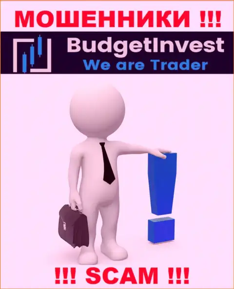 BudgetInvest - это мошенники !!! Не говорят, кто конкретно ими управляет