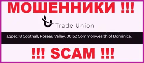 Все клиенты Trade Union однозначно будут слиты - указанные мошенники пустили корни в оффшорной зоне: 8 Copthall, Roseau Valley, 00152 Dominica