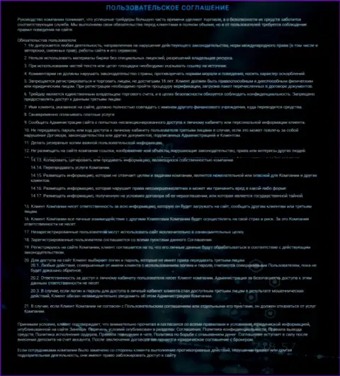 Пользовательское соглашение Zineera, представленное на веб-портале брокерской организации